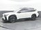 2025 Subaru Outback Onyx Edition XT