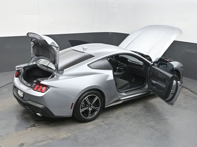 2024 Ford Mustang EcoBoost Fastback