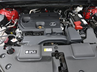 2025 Lexus NX 250 Premium