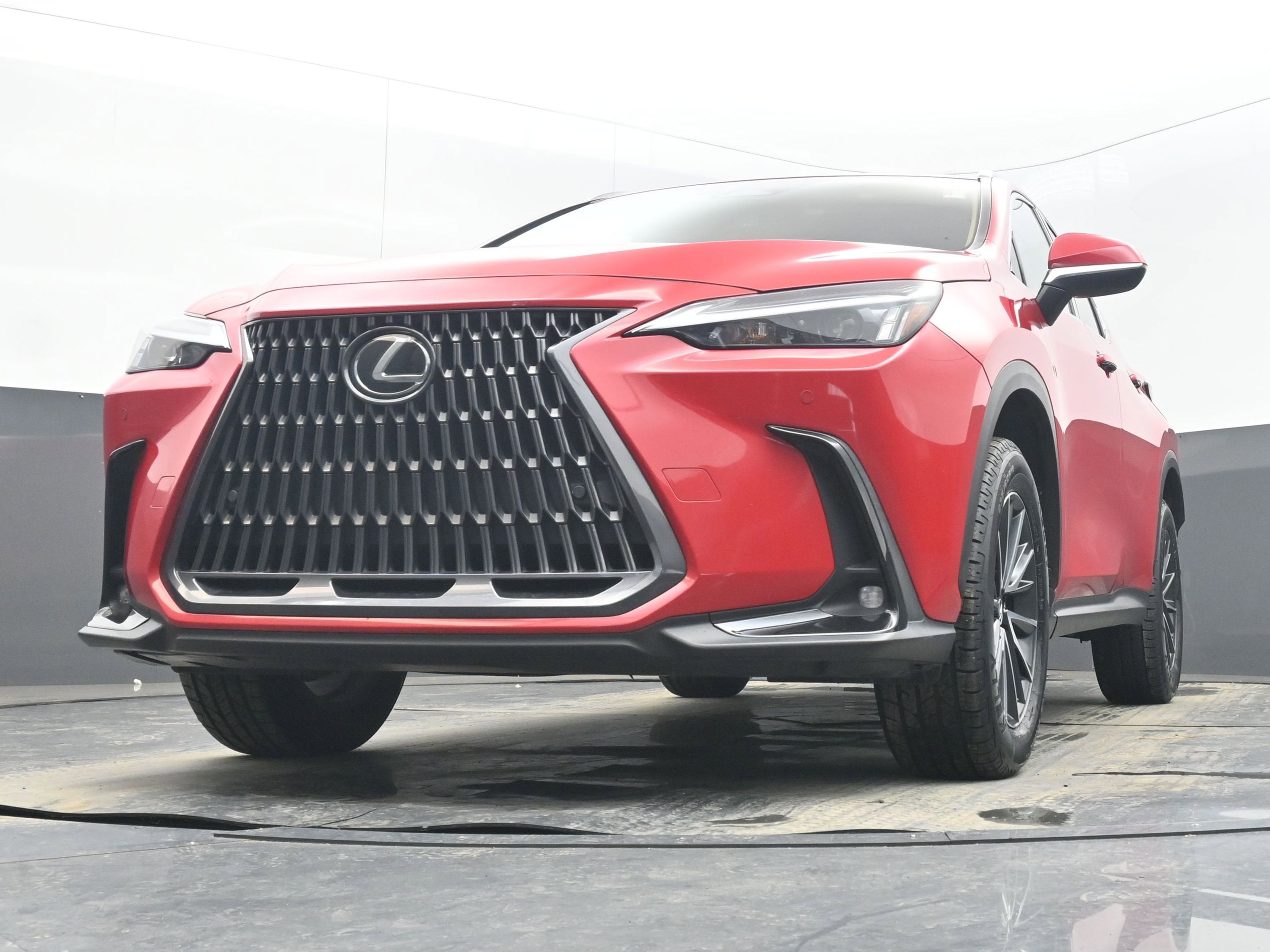 2025 Lexus NX 250 Premium