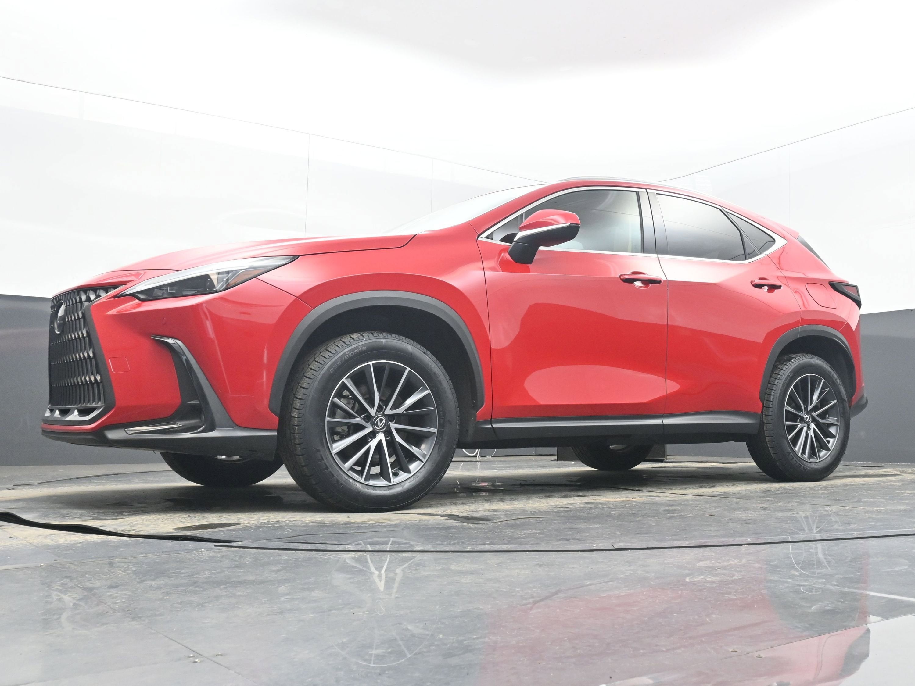 2025 Lexus NX 250 Premium