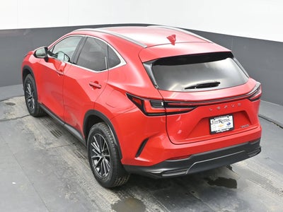 2025 Lexus NX 250 Premium