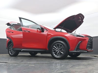 2025 Lexus NX 250 Premium