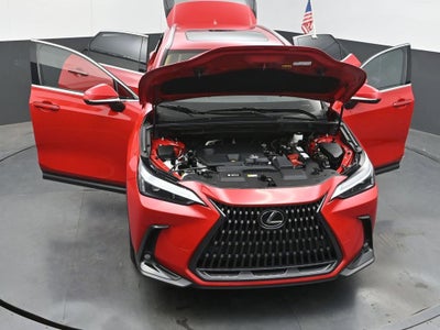 2025 Lexus NX 250 Premium