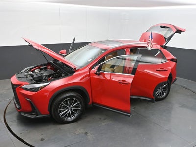 2025 Lexus NX 250 Premium