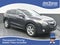 2015 Acura RDX Tech Pkg